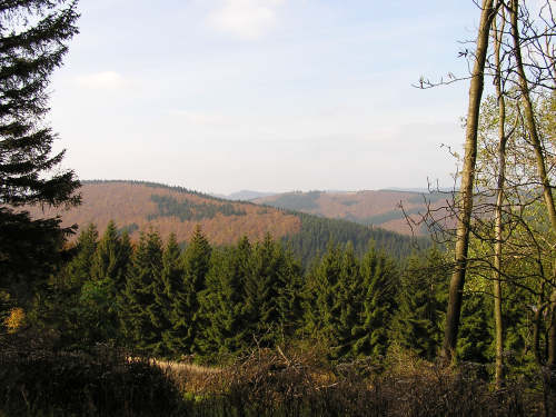 Beim letzten Anstieg zum Kahlen Asten, der Blick in Richtung Südwesten.